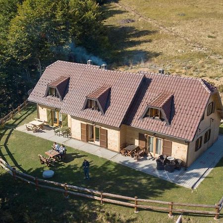 Vikendica Vila Despotovic 科帕奥尼克 外观 照片