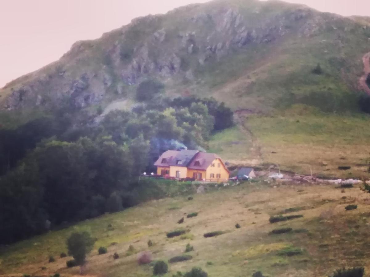 Vikendica Vila Despotovic 科帕奥尼克 外观 照片