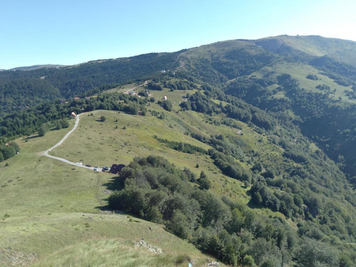 Vikendica Vila Despotovic 科帕奥尼克 外观 照片