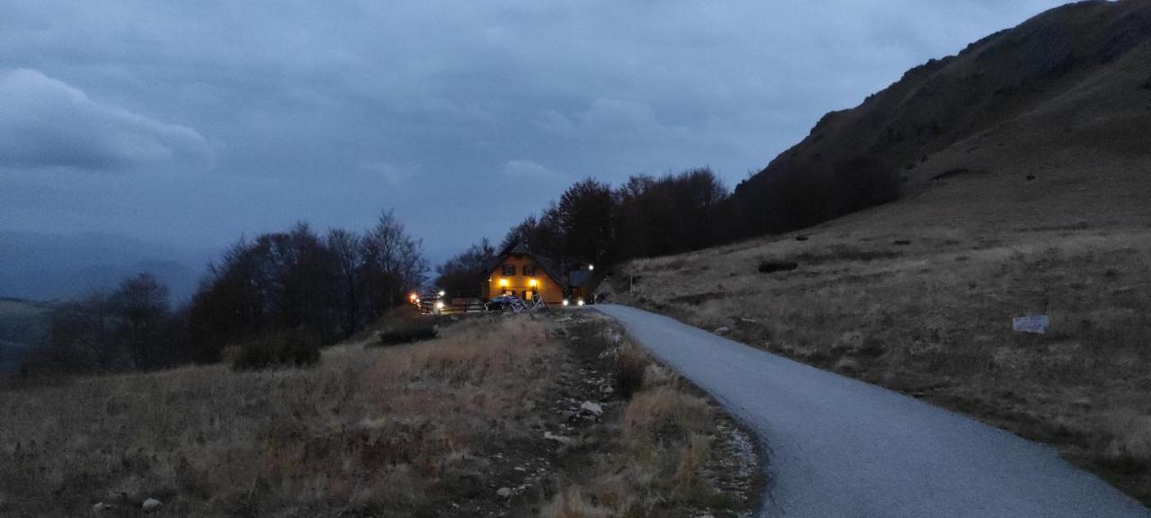 Vikendica Vila Despotovic 科帕奥尼克 外观 照片