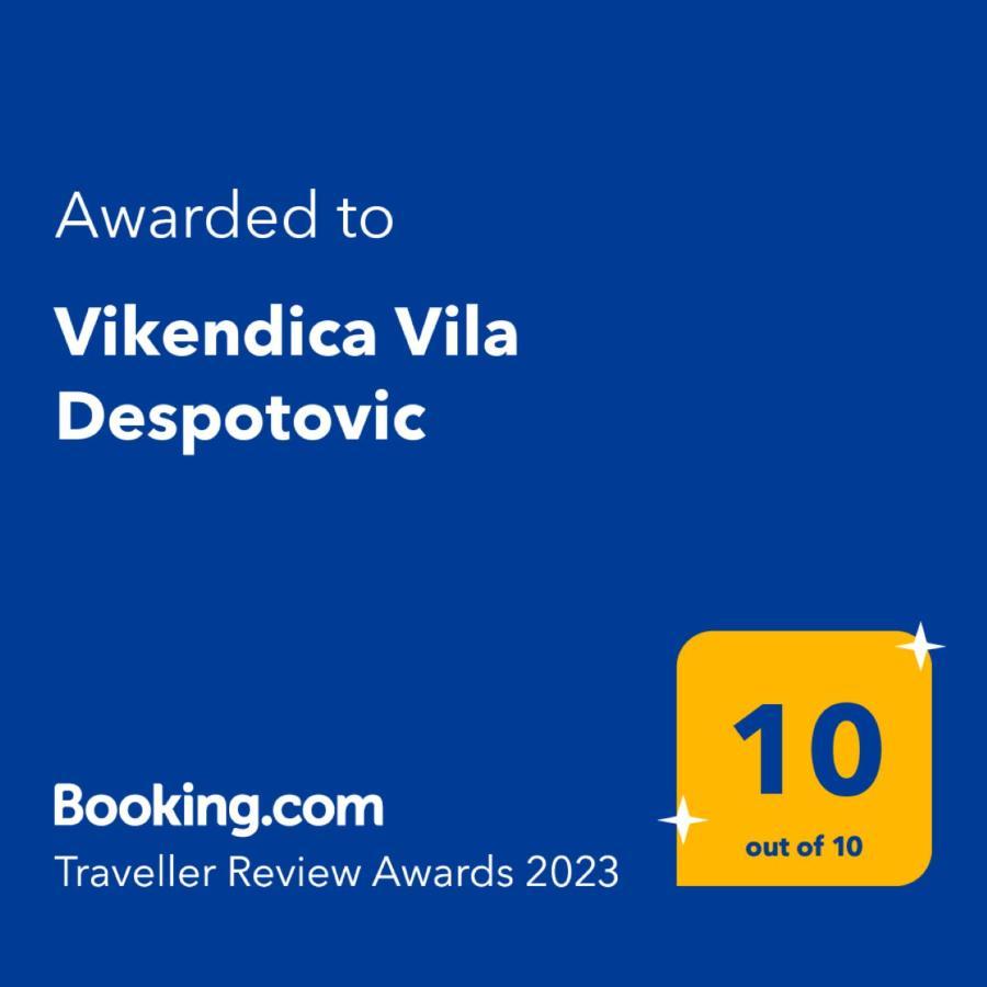 科帕奥尼克Vikendica Vila Despotovic别墅 外观 照片