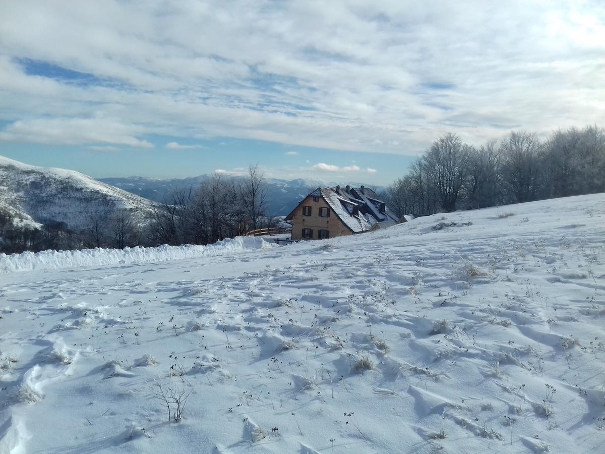 Vikendica Vila Despotovic 科帕奥尼克 外观 照片