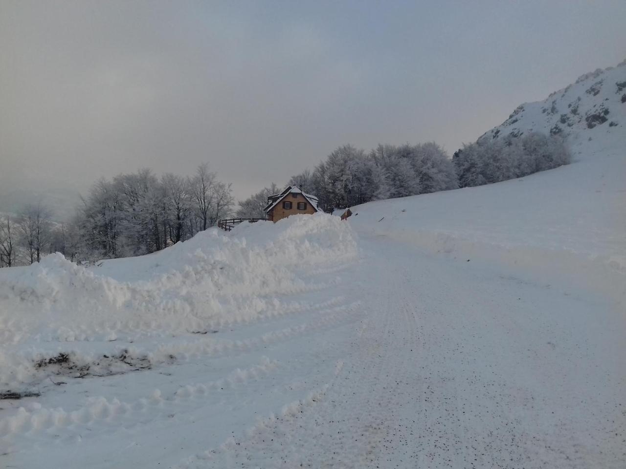 Vikendica Vila Despotovic 科帕奥尼克 外观 照片