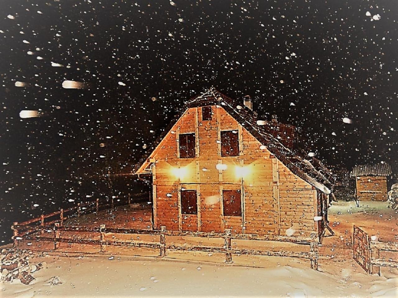 Vikendica Vila Despotovic 科帕奥尼克 外观 照片