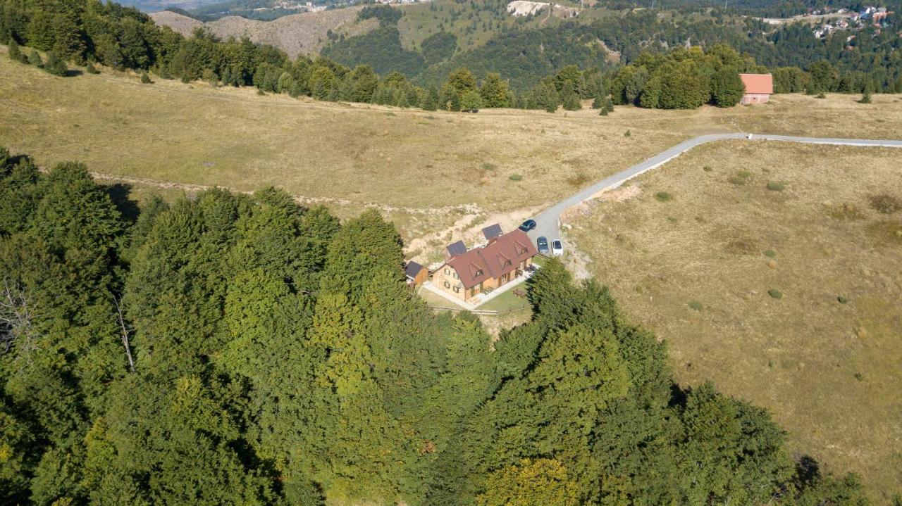 Vikendica Vila Despotovic 科帕奥尼克 外观 照片